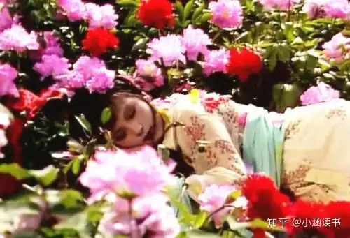 红楼梦史湘云喝醉酒后,白天睡在石凳上,晚上睡在哪儿