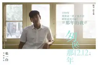 匆匆那年人物海报特辑齐发