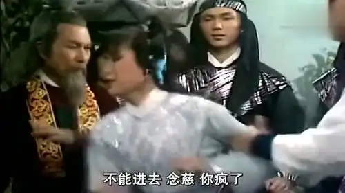 射雕英雄传杨康不自量力对战老顽童,只为阻止老顽童带走念慈
