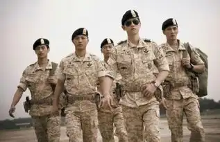 太阳的后裔掀迷彩家居潮流
