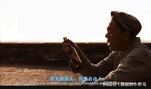 世界影史第一肖申克的救赎在希望与失望中重生的瑞德
