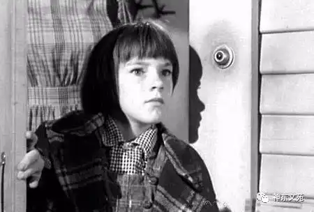 温柔的力量杀死一只知更鸟读后感董丽玲散文作品
