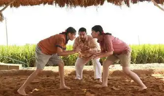 锐参考在这件事上,我们真的没有资格嘲笑印度