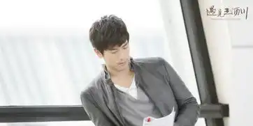 遇见王沥川高以翔找到正确打开方式
