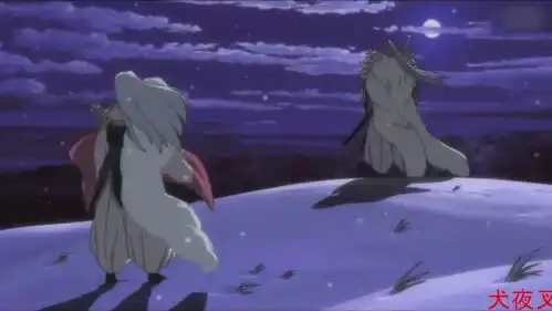 犬夜叉杀殿,冰冷的外表,温柔的心