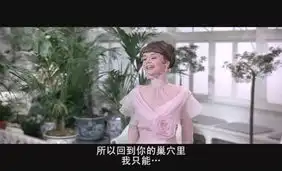 窈窕淑女截图