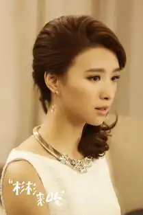 杉杉来了2014年张翰赵丽颖主演同名电视剧搜狗百科
