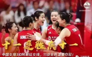 女排精神的核心是职业素养
