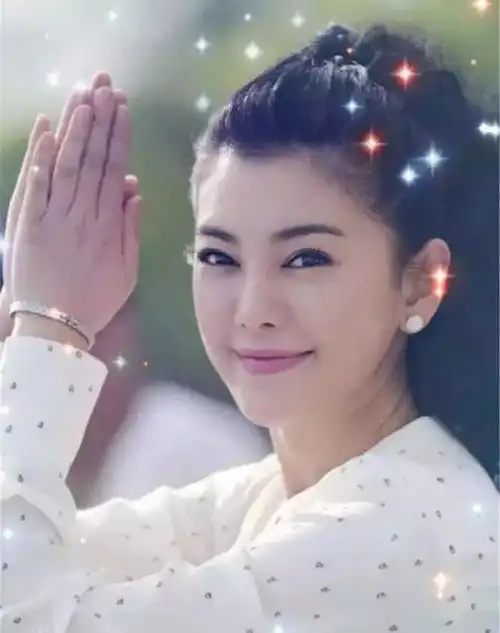 那些没上跑男的爱情公寓主演去哪了有人退圈有人整容变脸