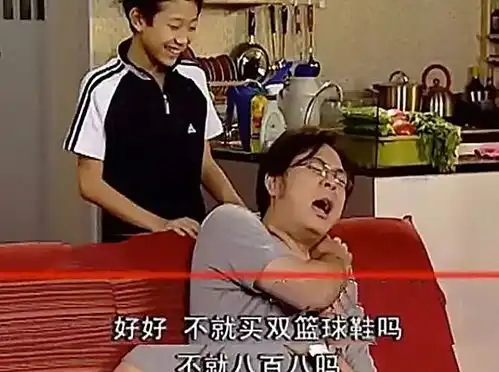 家有儿女16年前刘星家到底多富有当看完他的球鞋之后,我真的嫉妒了