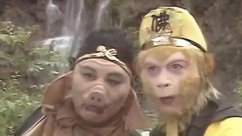 唐僧会武功后竟然对八戒使出了千年杀
