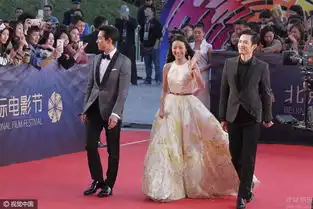 第六届北京国际电影节钟汉良李政宰现身红毯8409905
