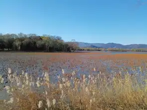 迈大步快步走颐和园半日游