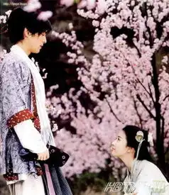 金秀贤全智贤陈晓赵丽颖杨幂冯绍峰盘点那些年追过的荧幕情侣