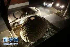 让人心酸的蛋形蜗居不见