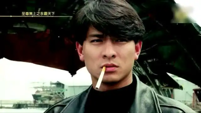 刘德华电影至尊无上2之永霸天下