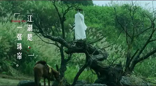 雪中悍刀行女子图鉴白狐脸诠释到位,3位配角存在不足