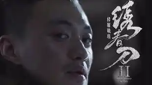 绣春刀2丝滑60帧
