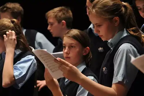 法国圣马可童声合唱团是电影放牛班的春天原唱