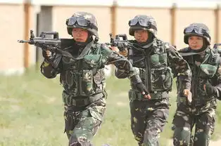 新型娘子军解放军多个兵种首添女兵高清组图