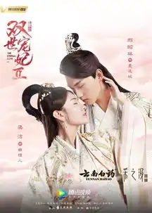 全网影视排行榜
