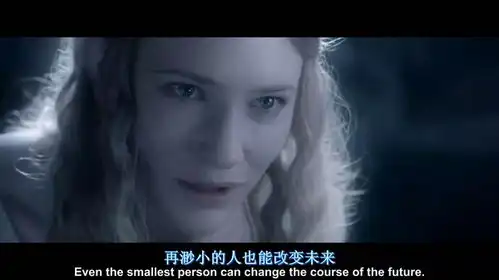 指环王1魔戒再现
