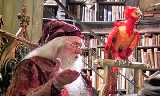 上古神兽驺吾全球圈粉无数中国神话成外国电影新灵感富矿
