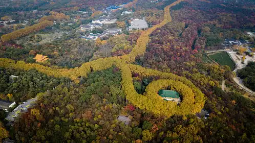 来南京旅游一定要做的27件小事丨南京旅游攻略
