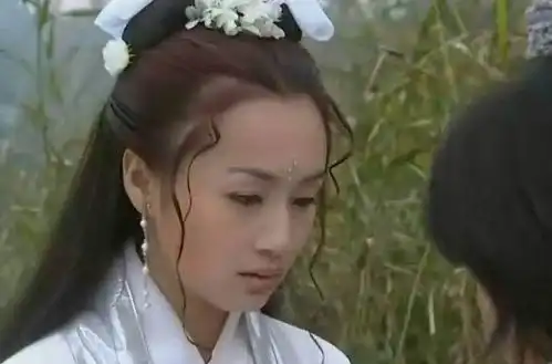 汉元帝颁布了一项政令,为什么导致西汉迅速衰亡