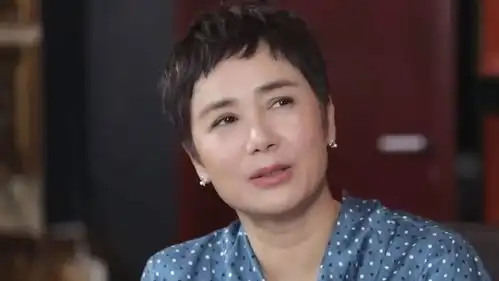 蒋雯丽谈正阳门下小女人年龄跨度角色转换靠眼神