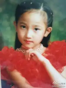 解惠清变性红高粱女星竟是男儿身