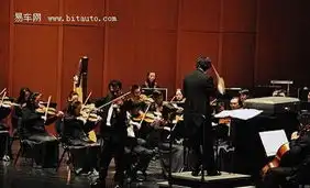 奥迪之夜用户答谢暨新年音乐会谢幕