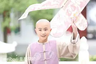 寂寞空庭春欲晚中饰演小纳兰容若的童星徐凌晨