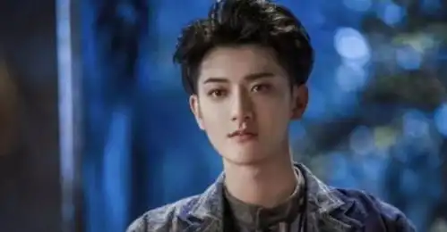 黄子韬,内娱自我洗白第一人
