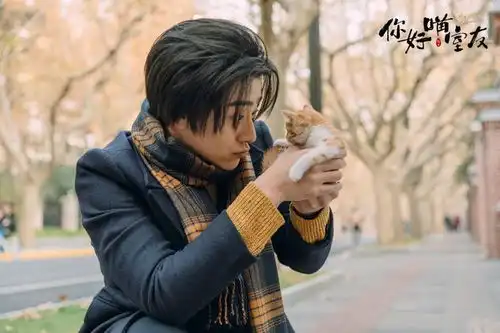 你好喵室友郑云龙马伯骞杨天翔花式养猫
