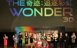 奇迹追逐彩虹开机
