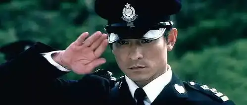 刘德华拍了147电影角色无间道只能排到第六
