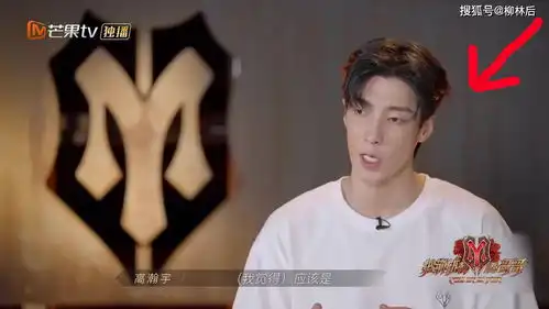 他真的就是文盲吧,明星也太好当了