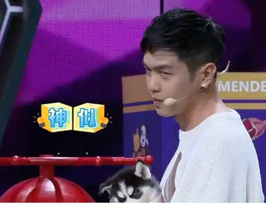 张若昀凭借庆余年大火拼爹怎么了我有实力