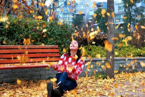 秋天的重庆武隆,层林尽染,电影满城尽带黄金甲曾在此取景