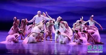 舞剧朱鹮在南宁上演
