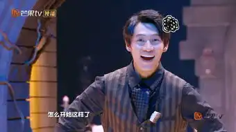 魏晨明星大侦探
