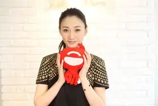 专访一夜未了情李小冉
