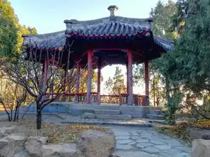 迈大步快步走颐和园半日游