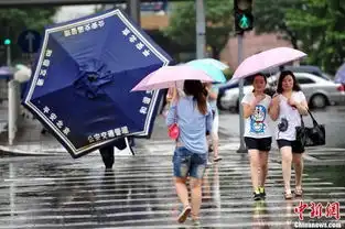 雷雨大风来袭北京市气象台今早连发3预警
