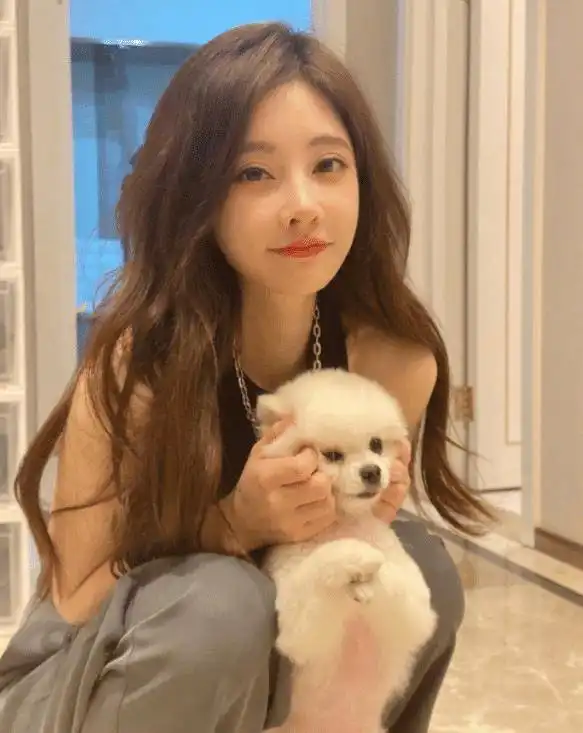 陈柏霖郭采洁电影主题曲发布,冯提莫深情演绎何必留下遗憾
