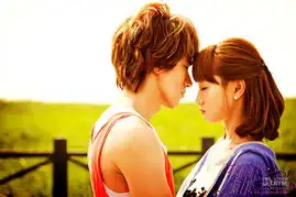 热播华语剧集推荐宫斗大热唐宫vs后宫