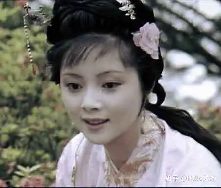 你是怎么爱上李少红2010新版红楼梦的
