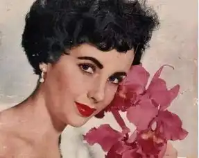 泰勒她如同钻石,爱了一生,漂了一生