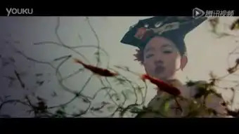 宫锁珠帘2
